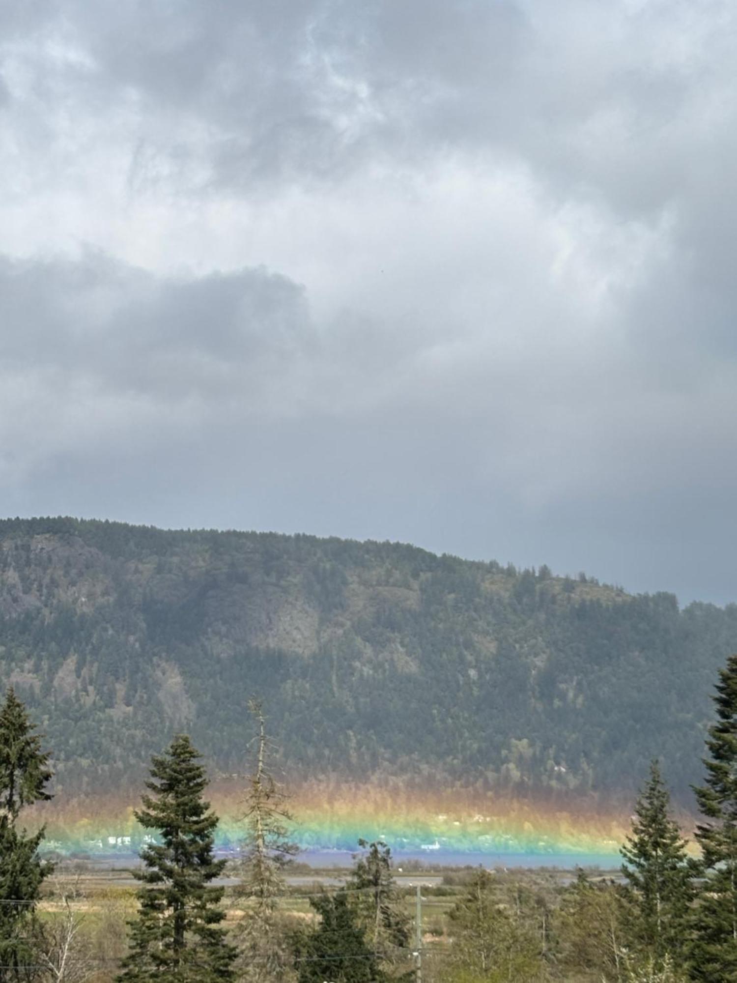 Appartamento The Cube Cowichan Bay Esterno foto